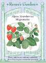 Mignonette Alphine Strawberry Seeds